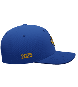 CBSL All Stars - Hat